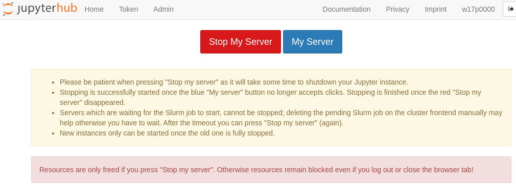 JupyterHub-stop-server